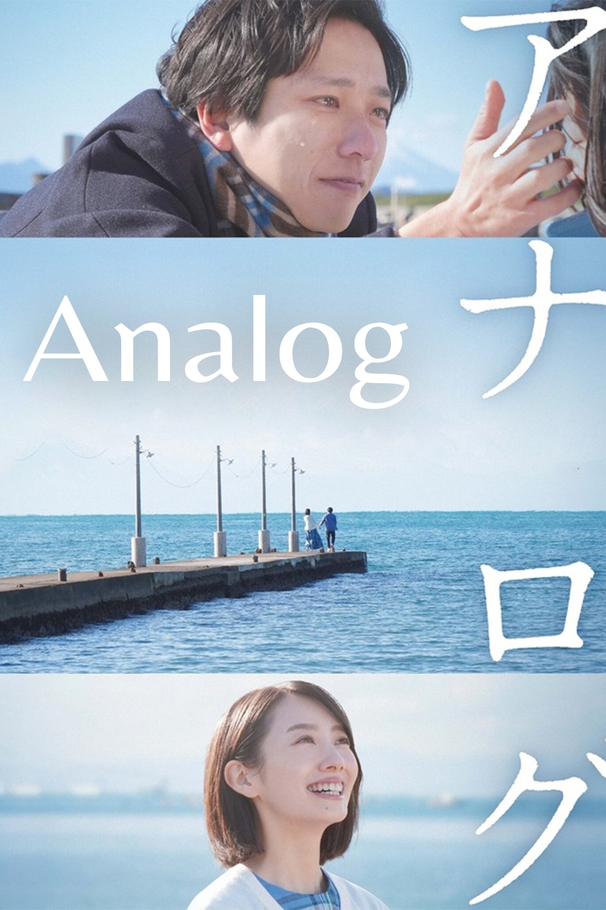 Analog poster