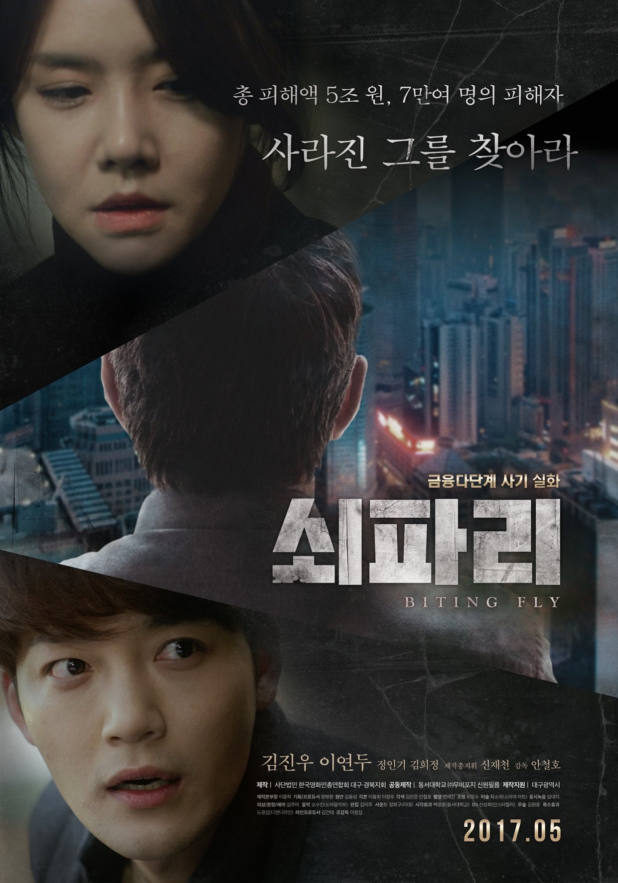 Biting Fly poster