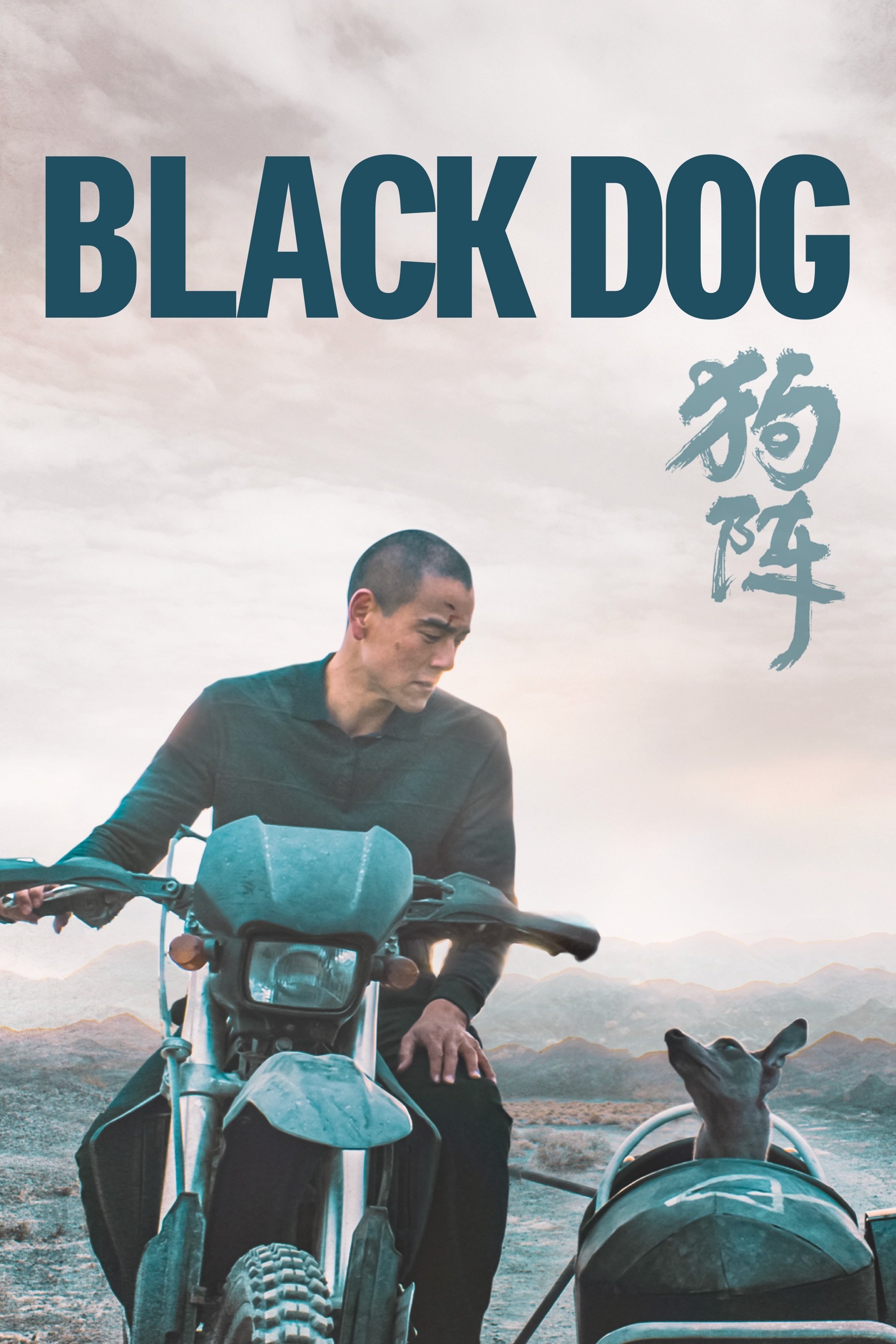 Black Dog poster