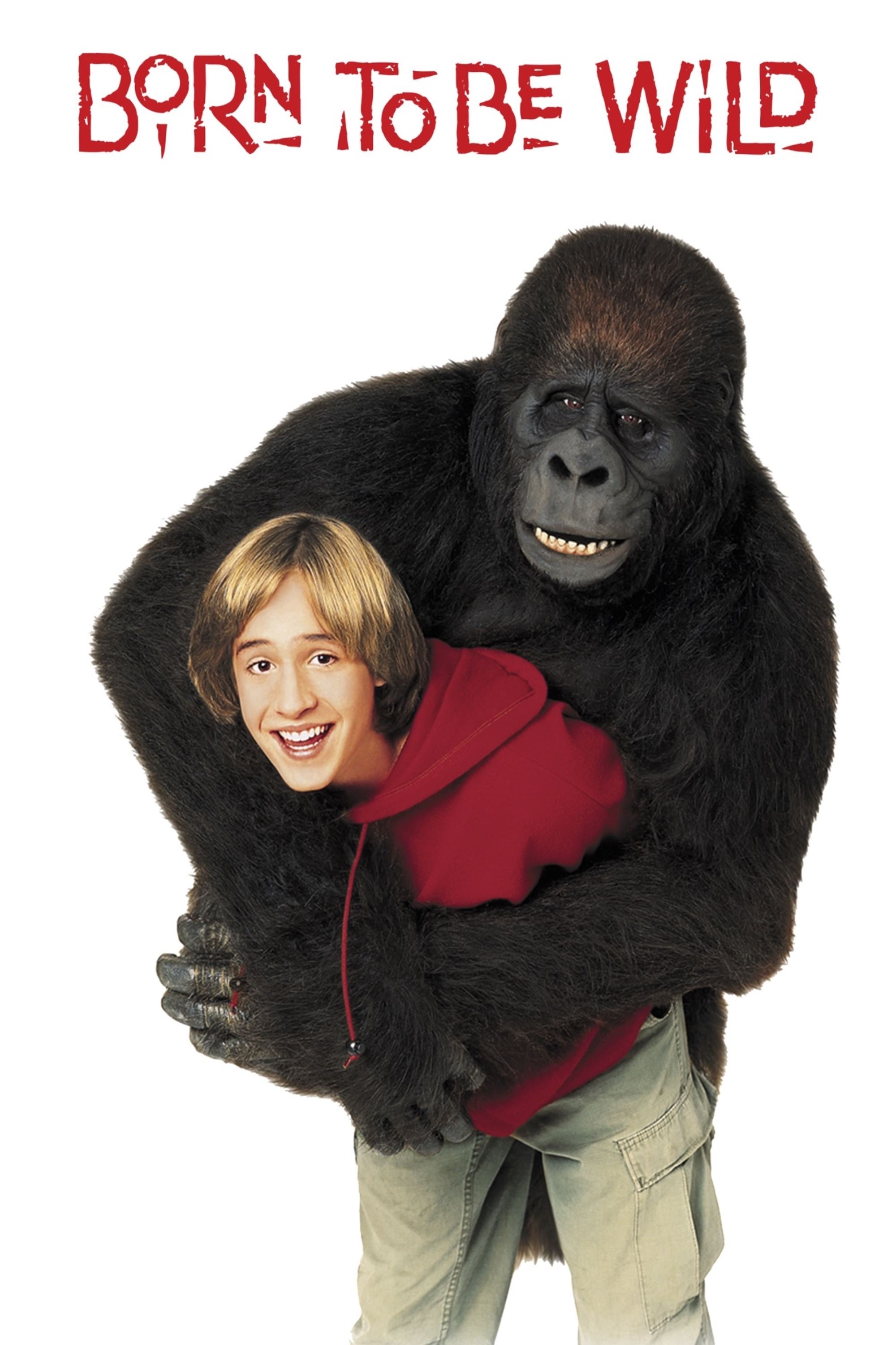 Born To Be Wild poster