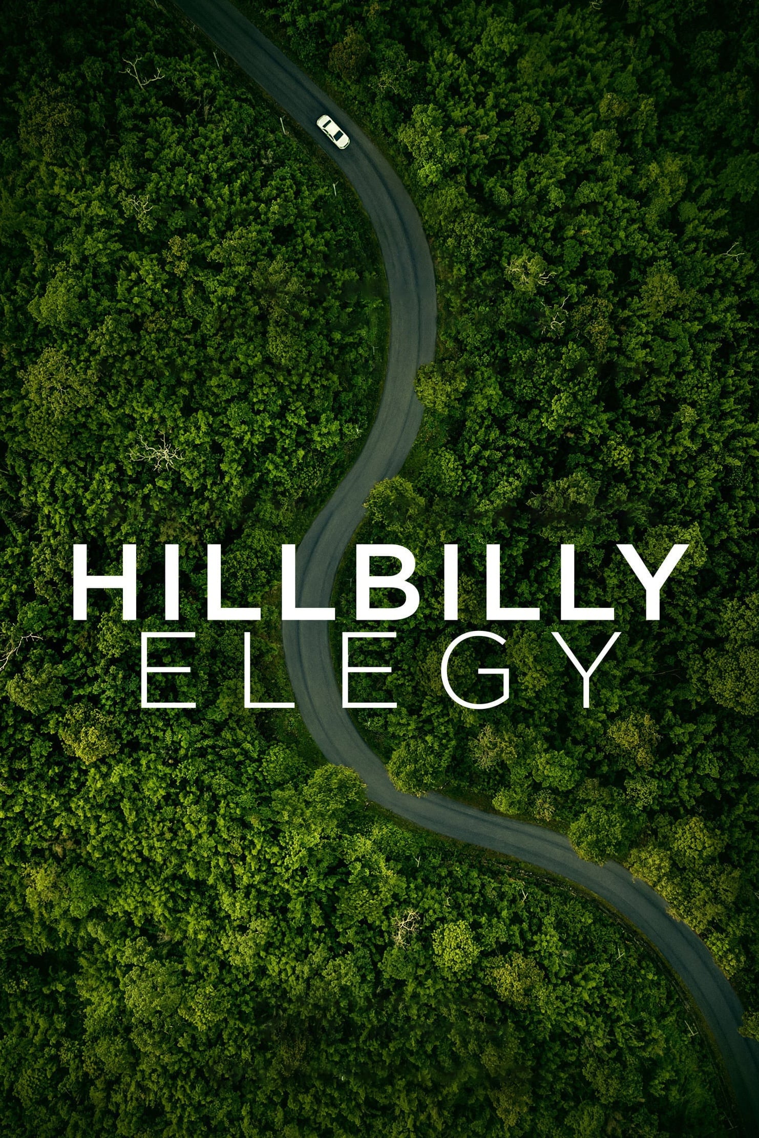 Hillbilly Elegy poster
