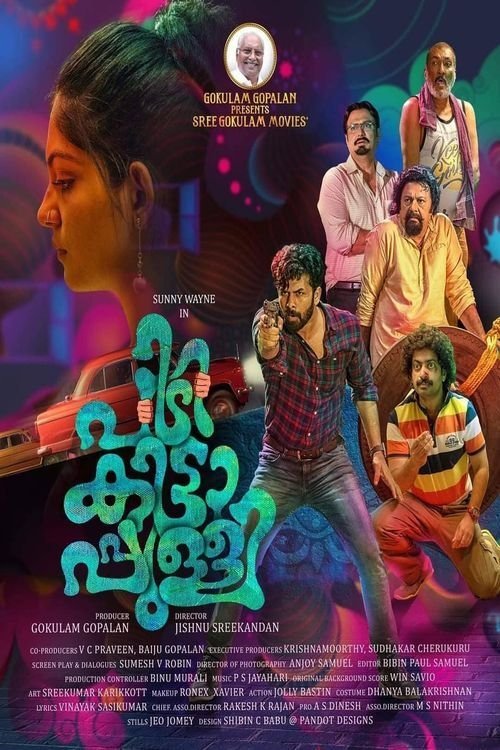 Pidikittapulli poster